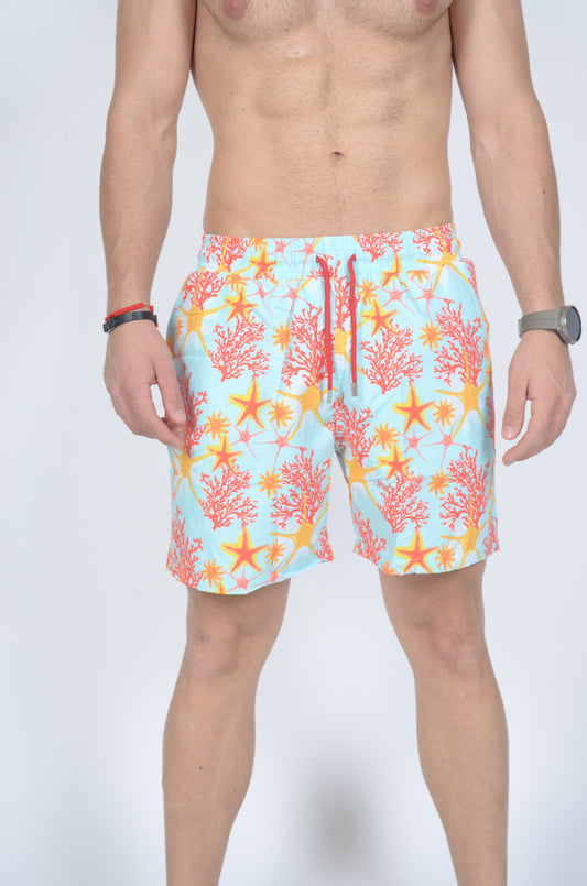 Αρσενικά μαγιό Vilebrequin