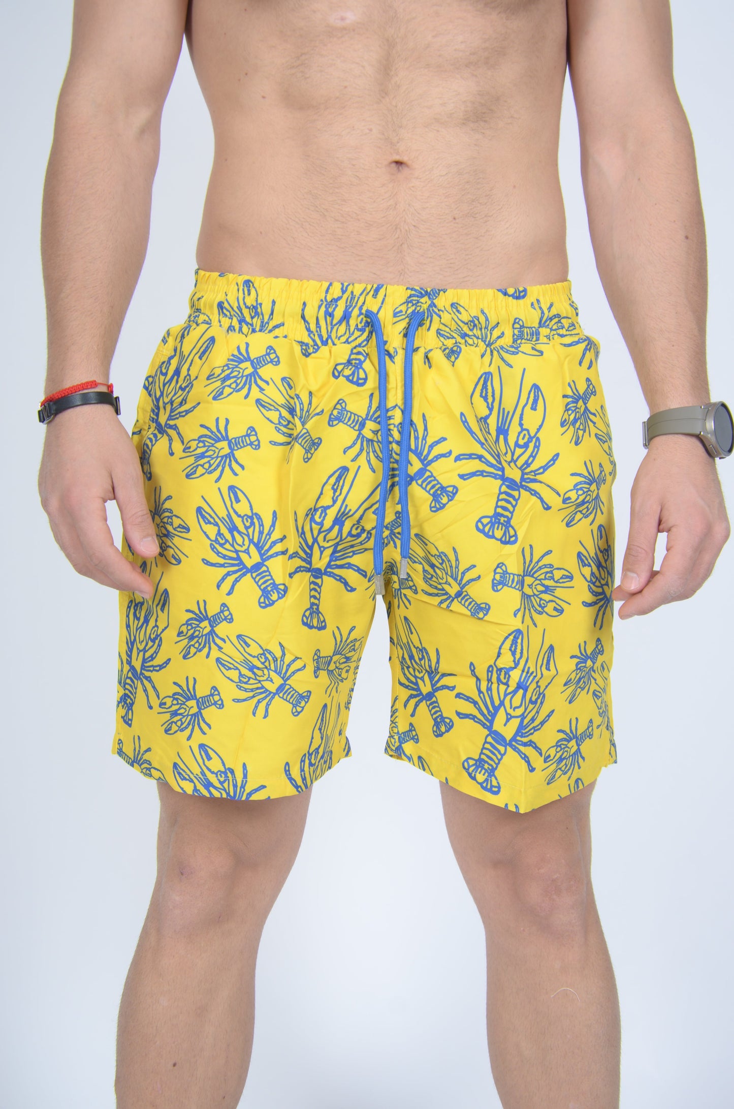 Αρσενικά μαγιό Vilebrequin