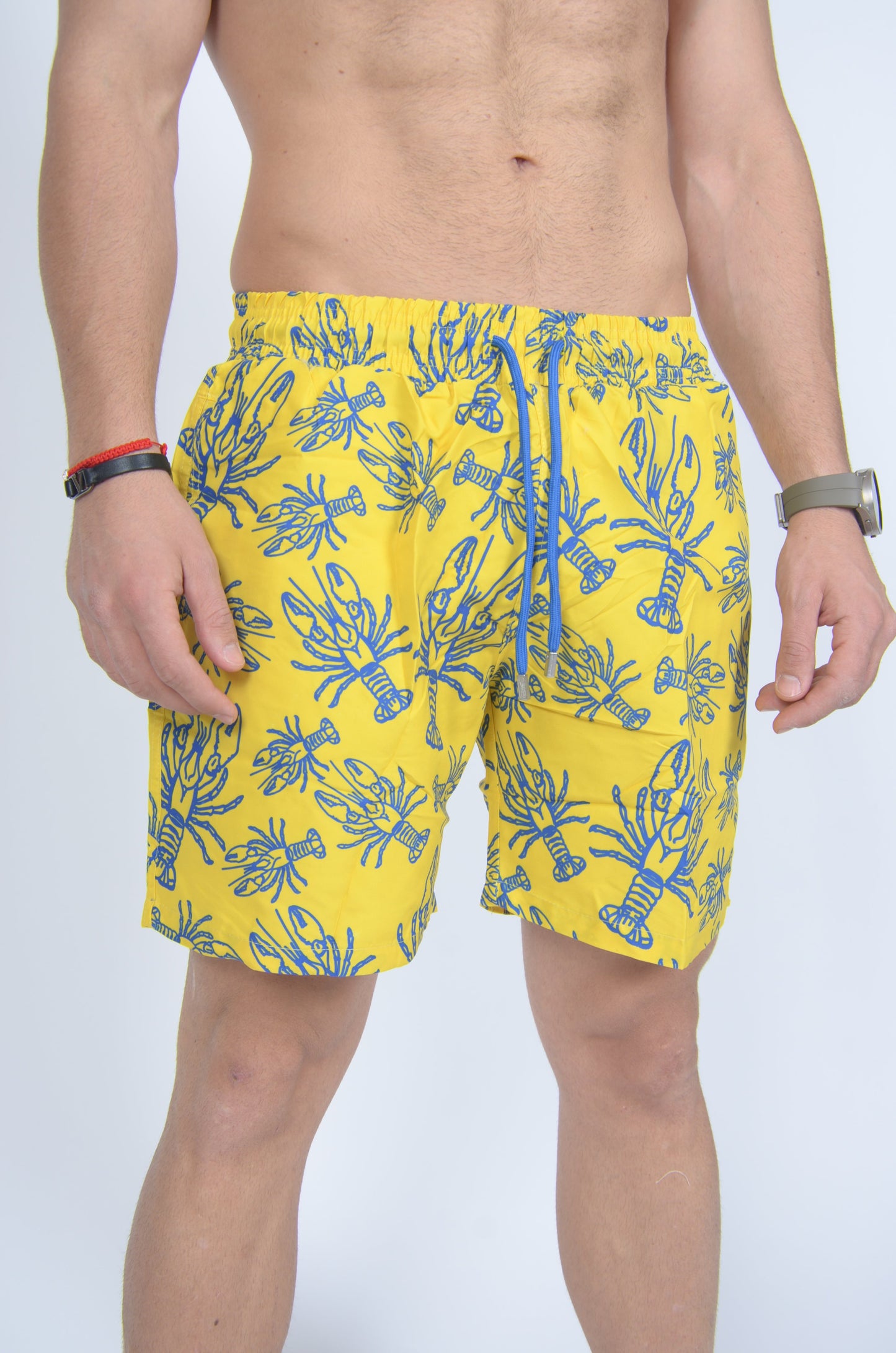 Αρσενικά μαγιό Vilebrequin